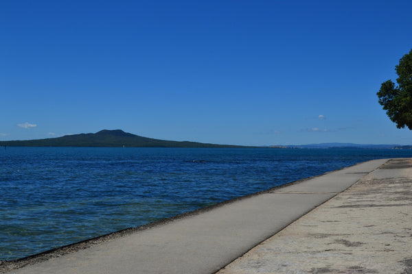 Five Auckland Trail Treasures